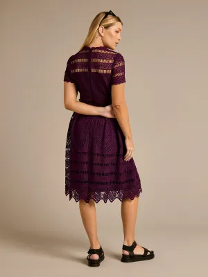 GWD Nicola All-over Lace Purple Knee Length Dress