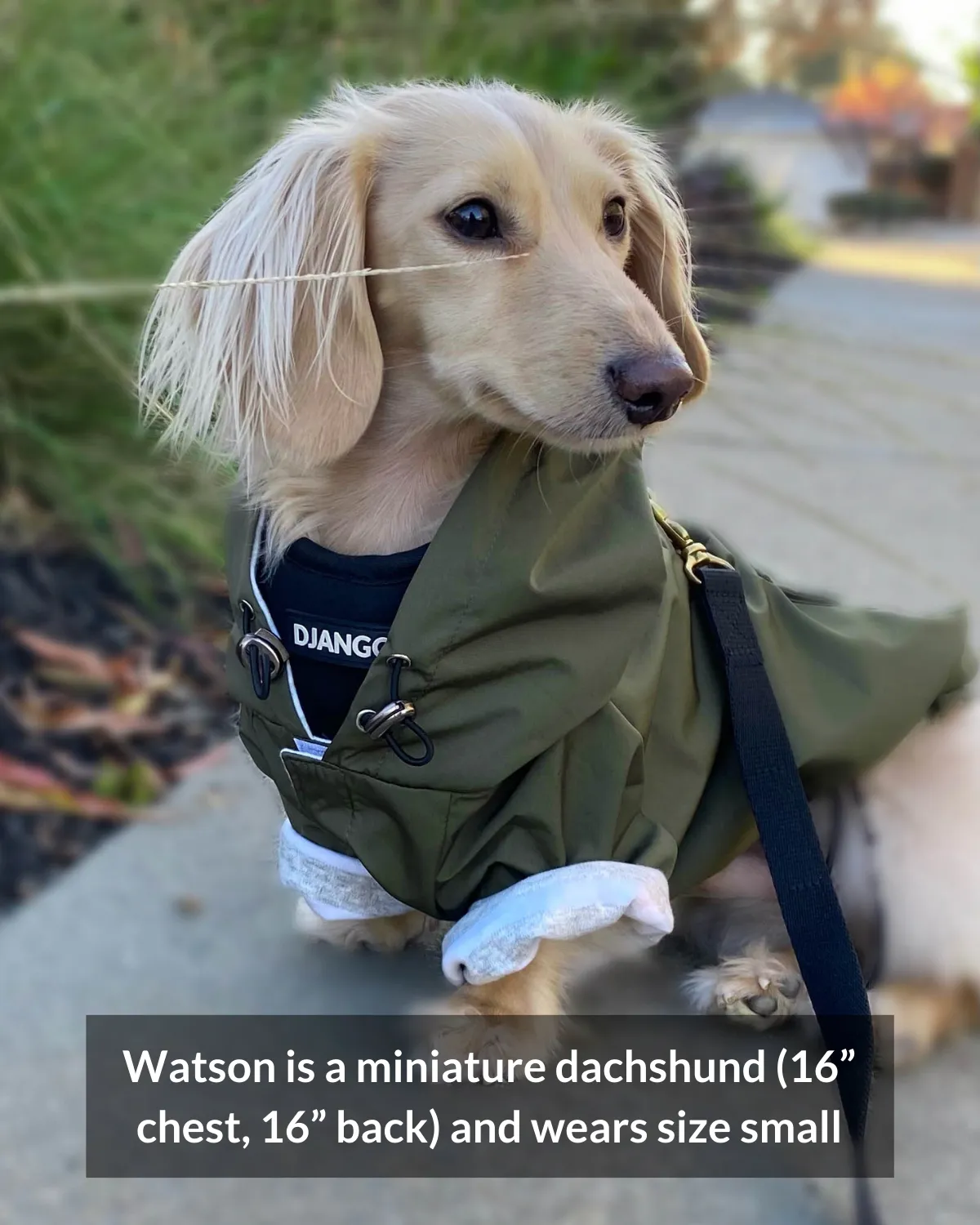 Highland Cold Weather Dog Jacket and Raincoat - Olive Green