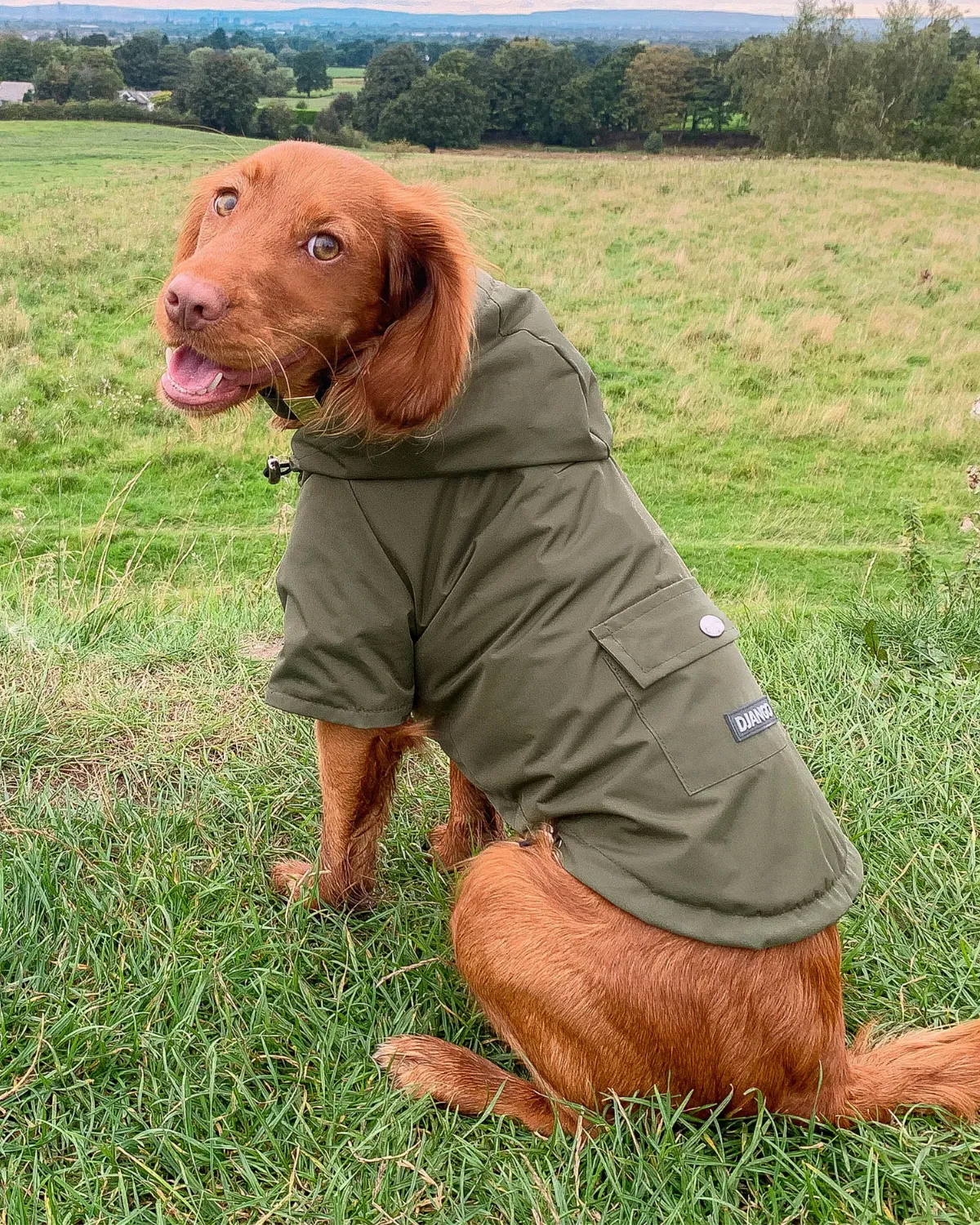 Highland Cold Weather Dog Jacket and Raincoat - Olive Green